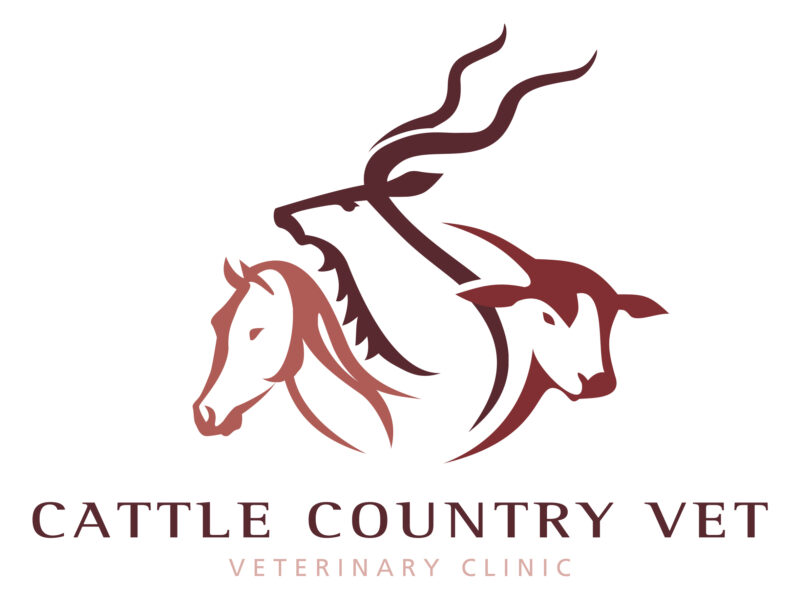 Cattle Country Veterinary Clinic
