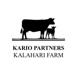 Kario Partners