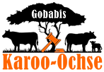 Karoo Logo PNG